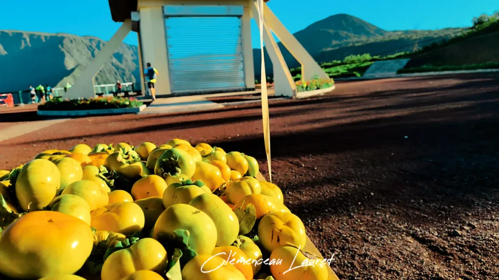 Des kakis jaunes et oranges sont empilés sur une table de marché au Belvédère de Bois Court à la Réunion, avec des montagnes en arrière-plan.