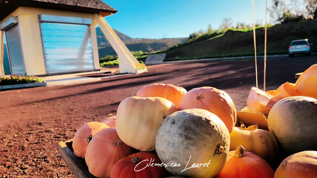 Des citrouilles oranges et blanches sont disposées sur un étal de marché au Belvédère de Bois Court à la Réunion, avec des montagnes et une voiture en arrière-plan.