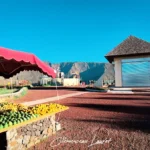 Un marché animé au Belvédère de Bois Court à la Réunion, avec des fruits et légumes frais exposés sous un parasol rouge.