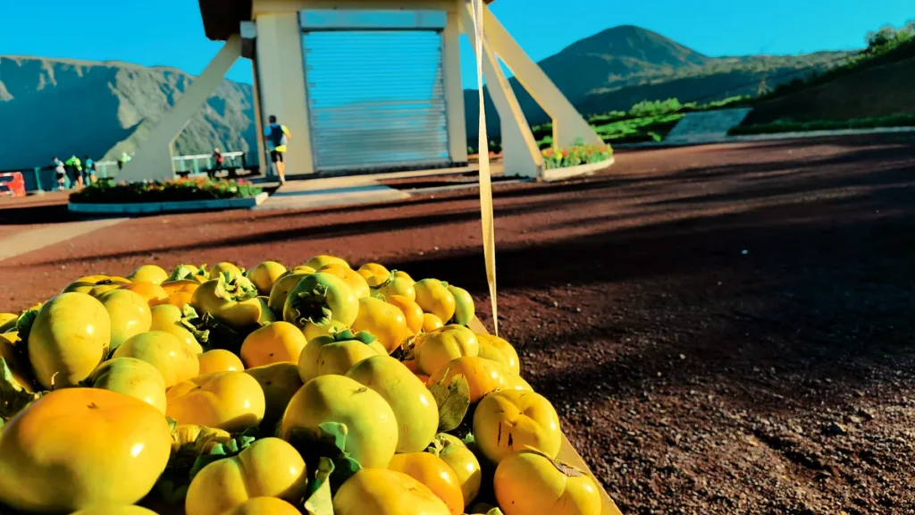Des kakis oranges et jaunes sont empilés sur une table de marché au Belvédère de Bois Court à la Réunion, avec des montagnes en arrière-plan.