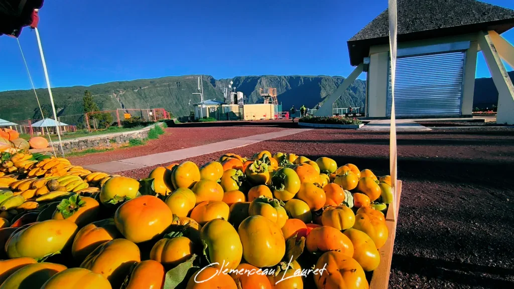 Des kakis jaunes et oranges sont empilés sur une table de marché au Belvédère de Bois Court à la Réunion, avec des montagnes en arrière-plan.