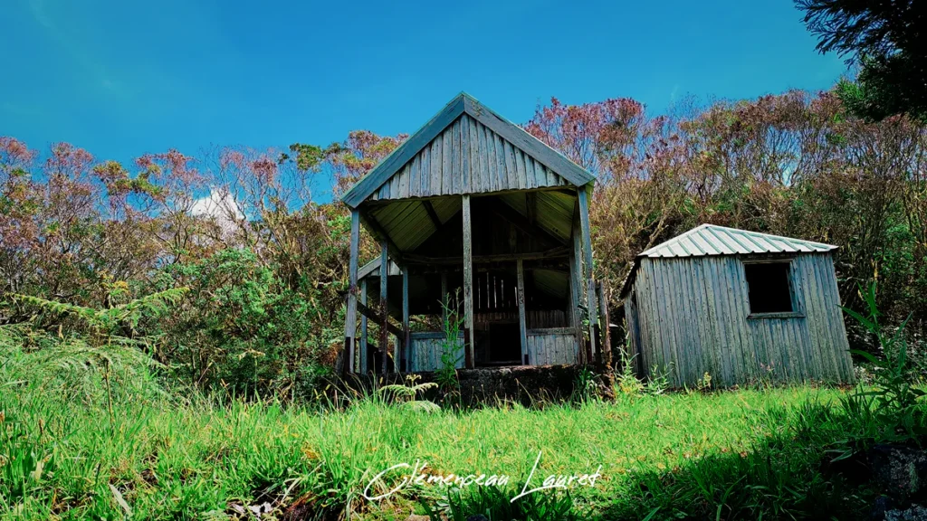 Refuge rustique en bois du Camp 2000 dans la forêt des Makes à Saint-Louis Réunion