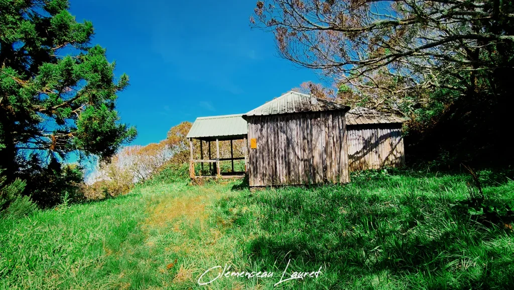 Cabanes en bois et prairie verdoyante au Camp 2000 aux Makes Saint-Louis Réunion