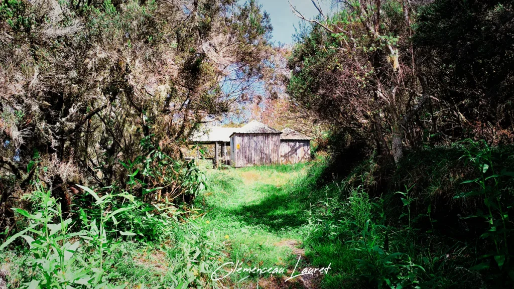 Sentier de randonnée menant aux abris du Camp 2000 dans la forêt des Makes Saint-Louis