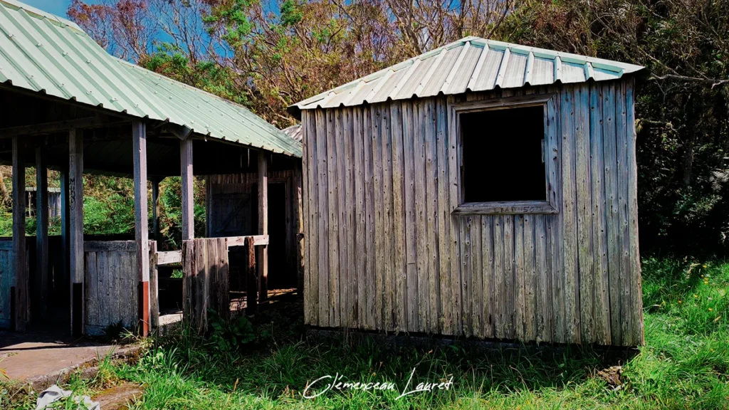 DÉtail de la cabane en bois du Camp 2000 dans la forêt domaniale de Saint-Louis