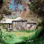 Cabane forestière du Camp 2000 cachée dans la végétation des Makes à Saint-Louis Réunion