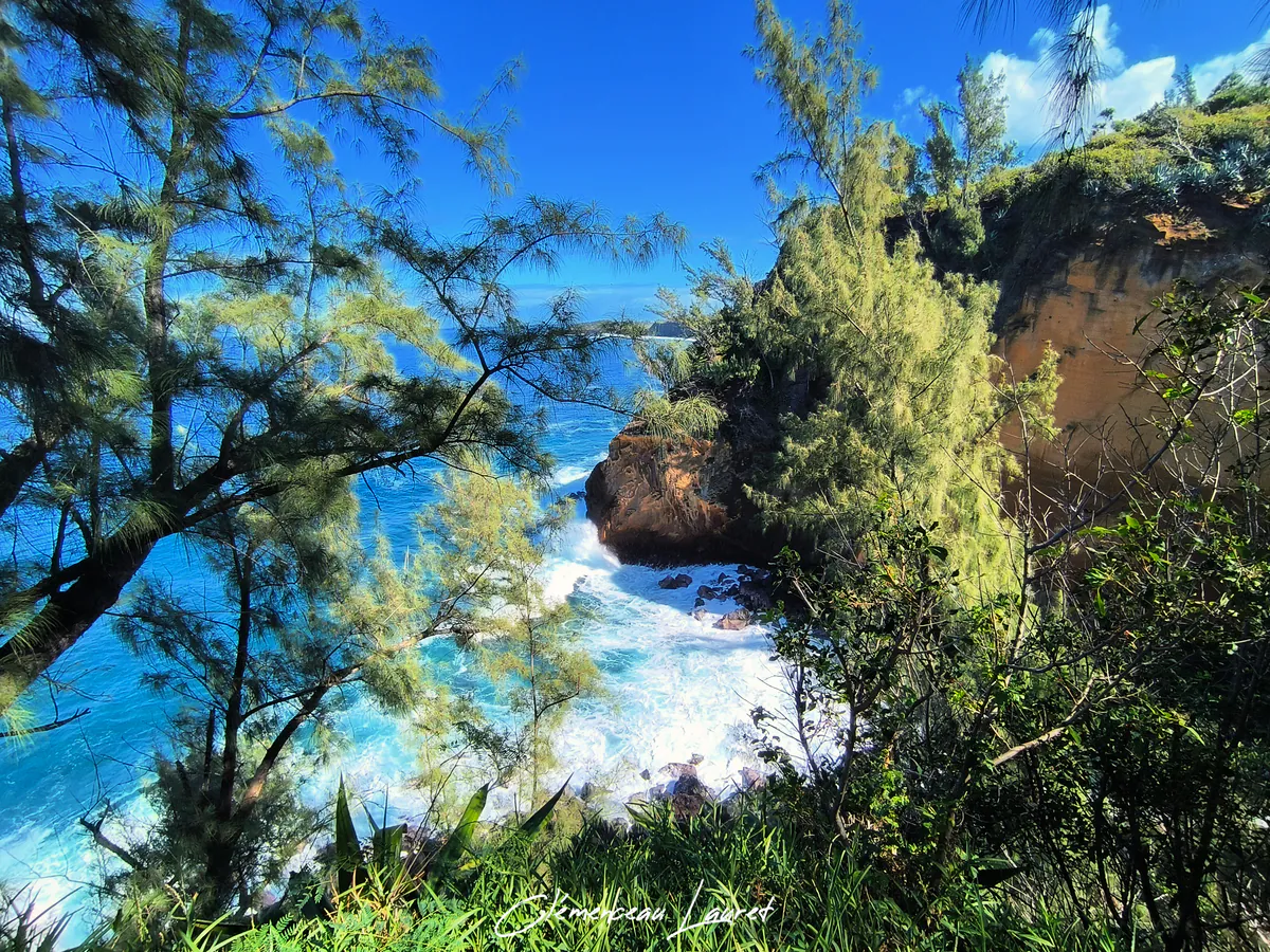 Littoral sauvage de Vincendo au Cap Jaune à Saint-Joseph avec vagues de l'océan Indien se brisant au pied de la falaise ocre et arbres filaos.