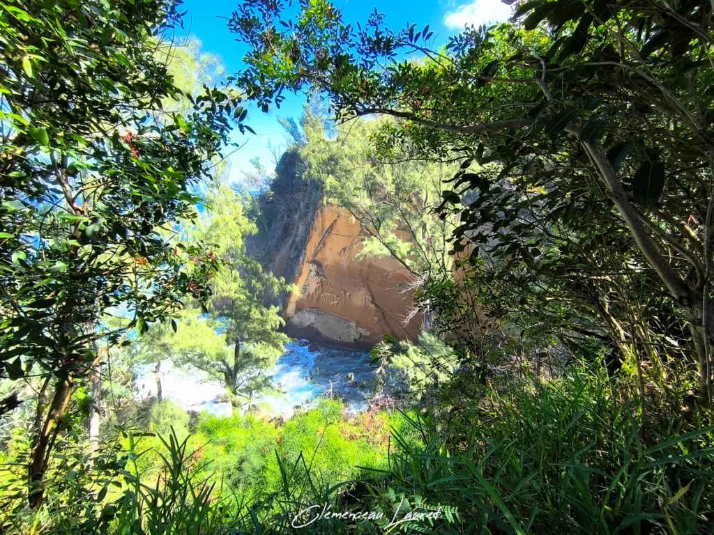 Fenêtre naturelle dans la végétation feuillue dévoilant la falaise dorée du Cap Jaune et l'écume des vagues à Vincendo, La Réunion.