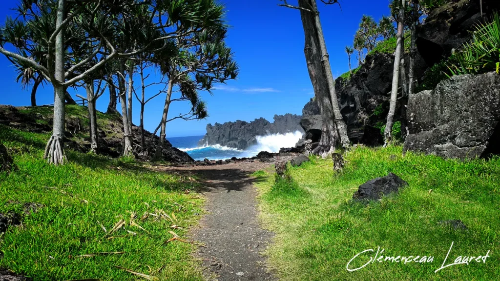 Sentier bordé de gazon vert et de vacoas menant vers la mer et l'écume des vagues du Cap Méchant.