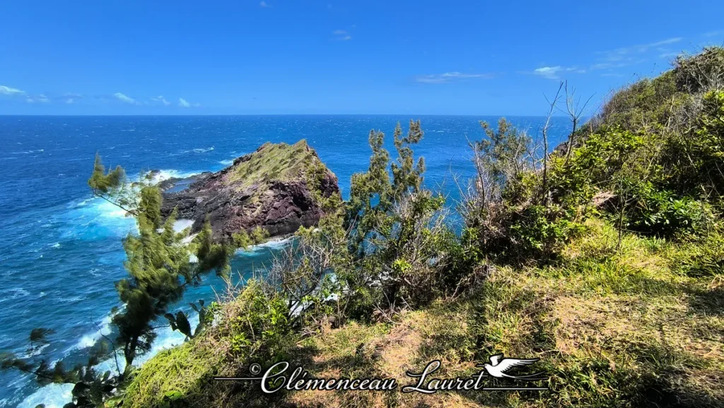 Sentier balisé bordé de filaos et végétation littorale surplombant le rocher de Petite Île à La Réunion.