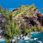 Zoom sur la falaise volcanique et le rocher de Petite Île recouvert de végétation fine sous un ciel bleu.
