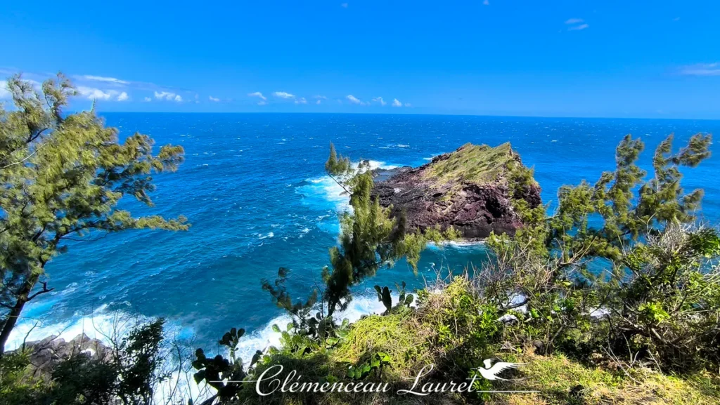 Panorama du rocher de Petite Île encadré par des arbres filaos et des figuiers de Barbarie sous le soleil.