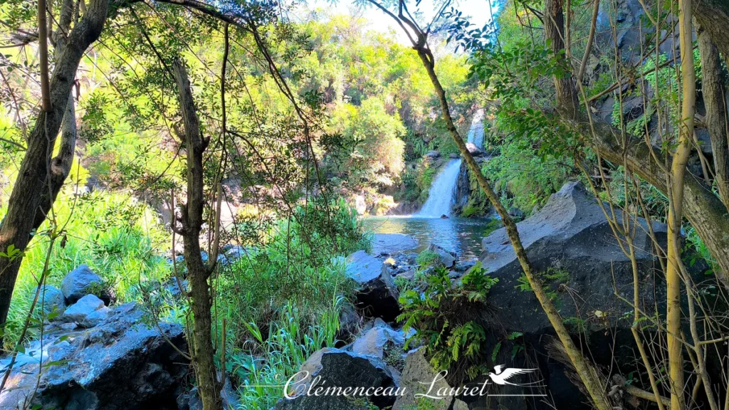 Vue à travers la végétation tropicale sur la Cascade Jacqueline et la Rivière Langevin