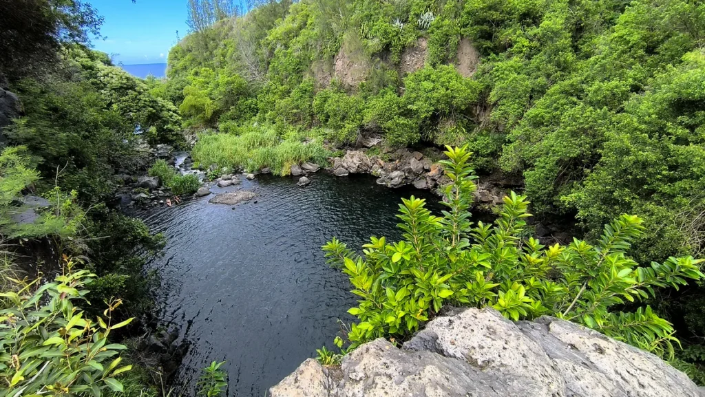 Vue plongeante depuis la falaise sur un vaste bassin naturel d'eau sombre entouré d'une végétation luxuriante à Saint-Joseph.