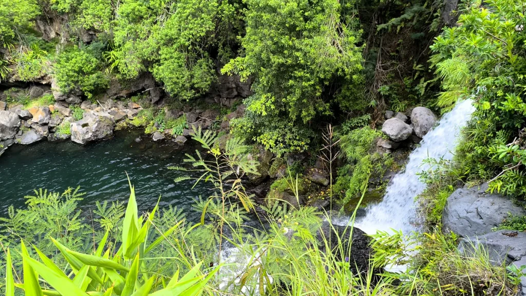Vue latérale de la chute d'eau de la cascade Jacqueline jaillissant parmi les rochers et les feuillages tropicaux vers le bassin turquoise.
