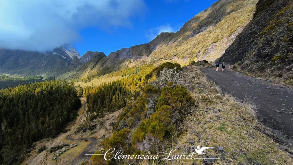 Deux randonneurs marchant sur une piste en terre dominant une vallée boisée de cryptomérias sous les sommets.