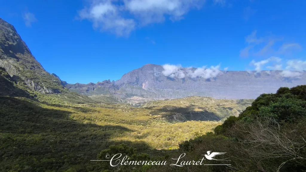 Vaste panorama verdoyant sur les remparts volcaniques et la vallée du cirque de Mafate sous un ciel nuageux.