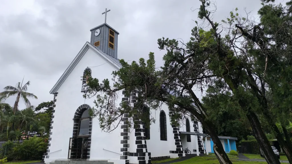 Flanc droit et clocher de l'église Saint-Philippe vus à travers les branches d'un arbre tortueux