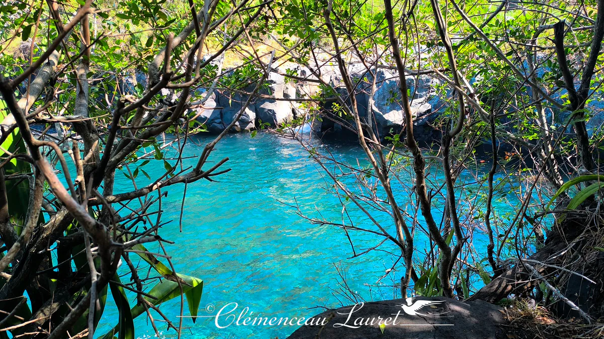 Vue cadree par des branches sur le bassin d eau turquoise limpide de l embouchure Langevin borde de roches volcaniques noires.