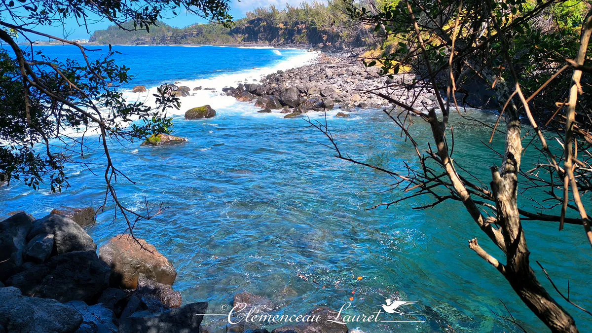 Panorama depuis la vegetation montrant la jonction entre l eau claire du bassin et les vagues se brisant sur la plage de galets noirs.