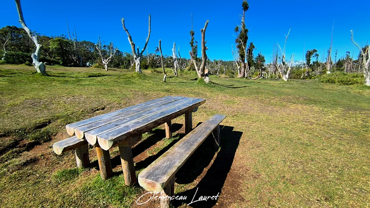 Table de pique-nique en bois dans la clairière de la forêt de Notre-Dame de la Paix