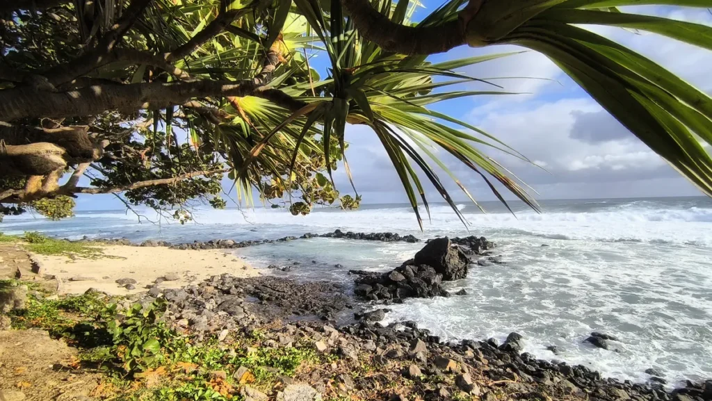 Prise de vue cadrée sous l'arche végétale d'un vacoa, révélant la plage de sable, le banc de roches sombres et l'écume blanche de la houle à Grand Bois.