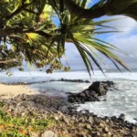 Prise de vue cadrée sous l'arche végétale d'un vacoa, révélant la plage de sable, le banc de roches sombres et l'écume blanche de la houle à Grand Bois.