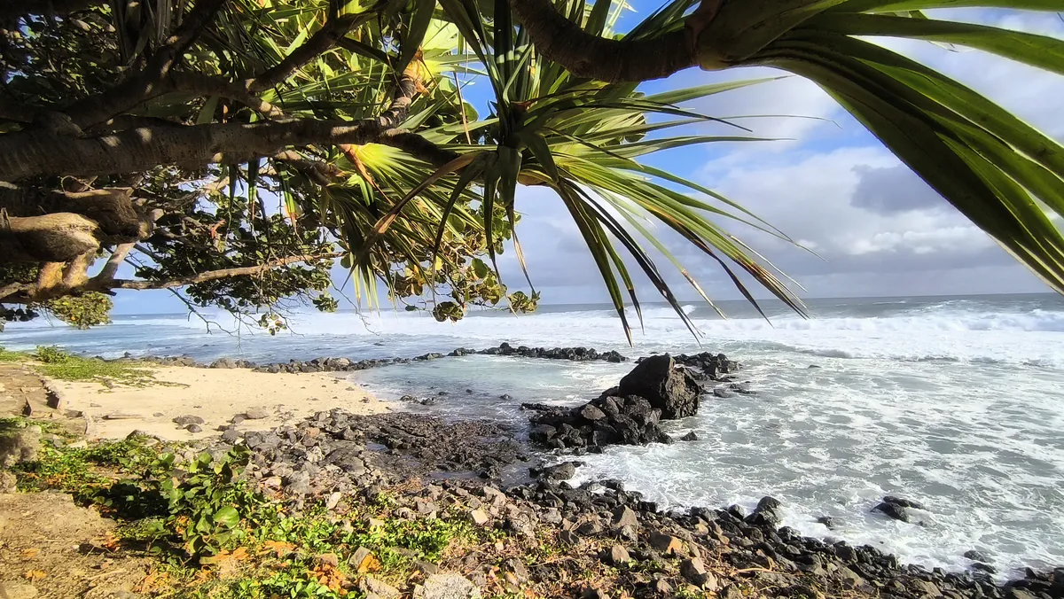 Prise de vue cadrée sous l'arche végétale d'un vacoa, révélant la plage de sable, le banc de roches sombres et l'écume blanche de la houle à Grand Bois.