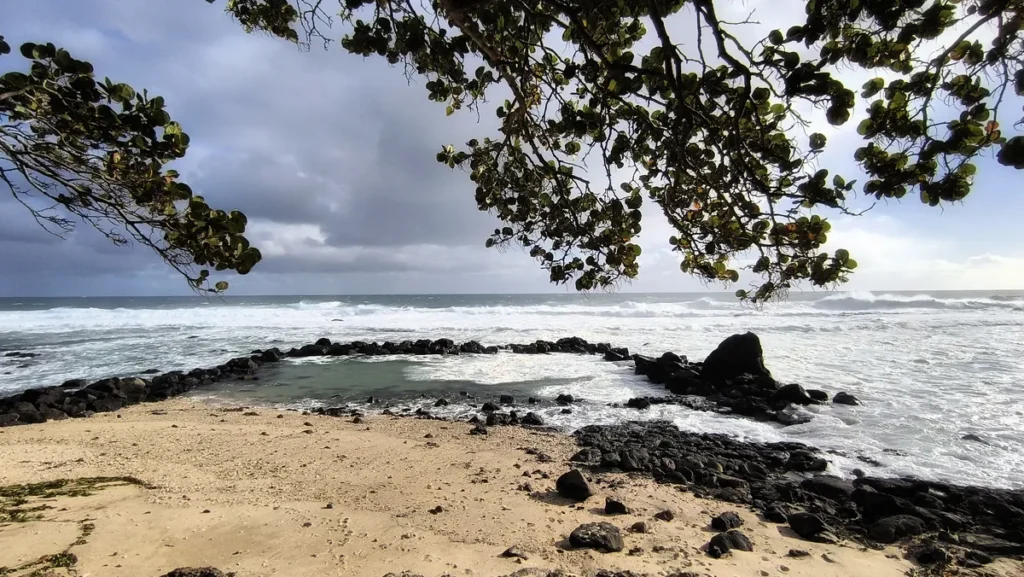 Vue d'ensemble cadrée par des feuillages en haut, montrant la plage de sable blond, la piscine naturelle entourée de roches sombres et les vagues déferlantes à Grand Bois.