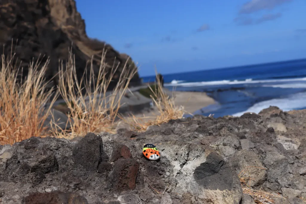 Vue d'ensemble montrant le galet coccinelle posé sur un rocher au premier plan, avec la falaise du Cap La Houssaye, le littoral et l'océan Indien en arrière-plan.