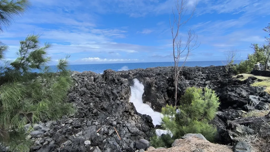 Vue du Gouffre de l'Étang-Salé entouré de filaos et de végétation côtière réunionnaise.