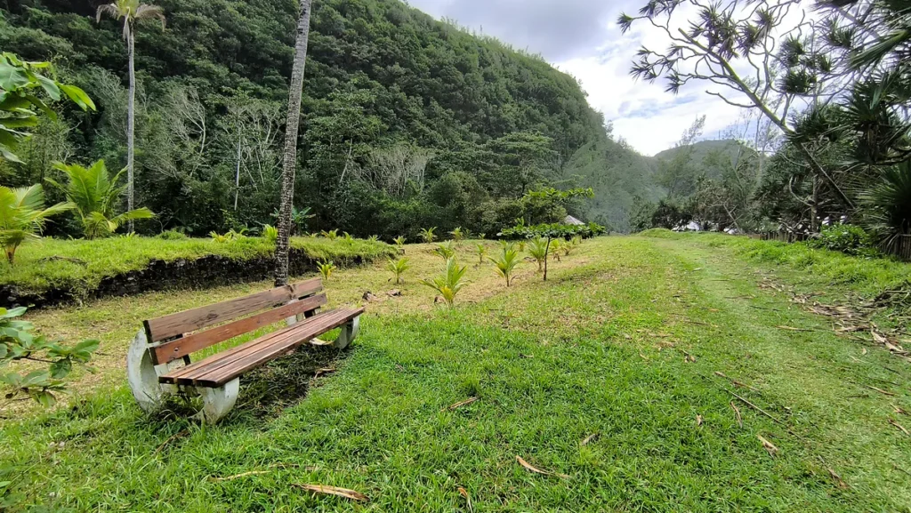 Banc en bois posé sur une grande pelouse verte bordée par une falaise boisée à La Source Sainte-Rose.