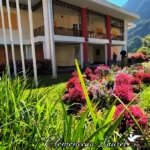 Parterre de fleurs roses et rouges au premier plan avec la mairie de Salazie et les montagnes en fond
