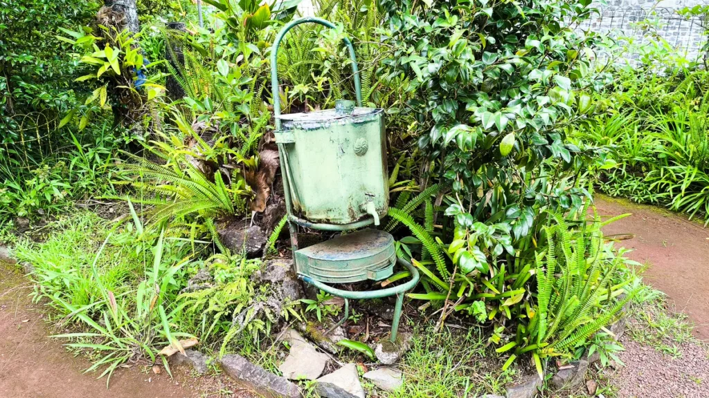 Ancien guillemin en métal vert patiné pose au milieu de la végétation du jardin.