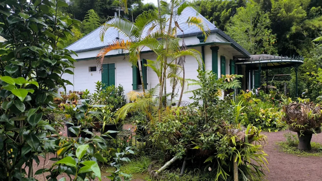 Maison créole traditionnelle blanche aux volets verts entourée de palmiers et de plantes en pot.