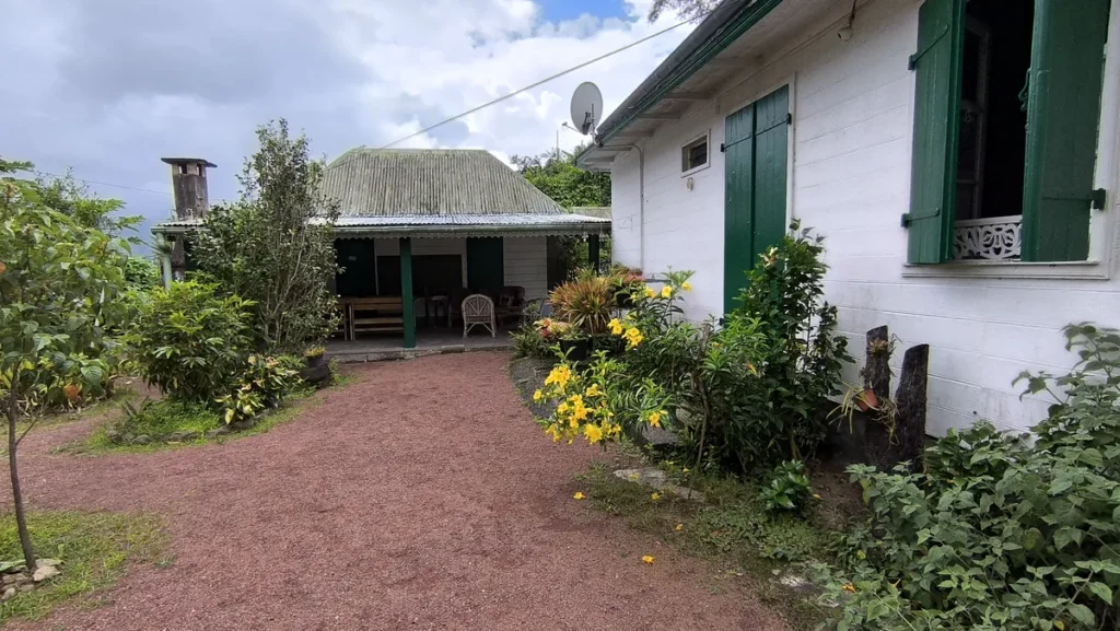 Allée gravillonnée menant à la dépendance en bois derrière la Maison Folio avec massifs de fleurs jaunes.