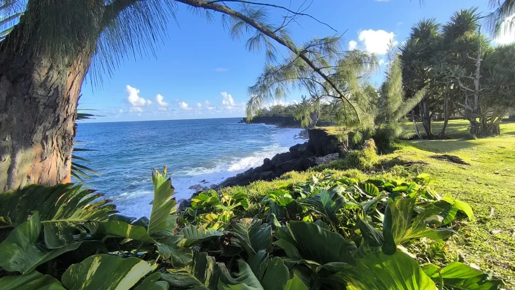 Vague se brisant sur la falaise de roche noire bordée de végétation tropicale