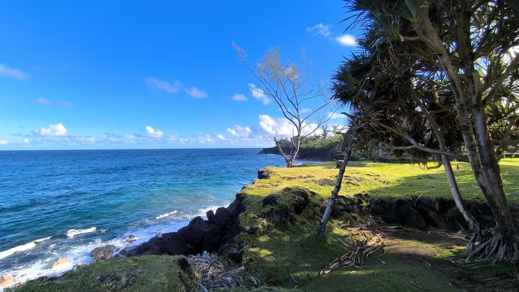 Côte rocheuse volcanique bordée d'arbres et de verdure sous un ciel bleu