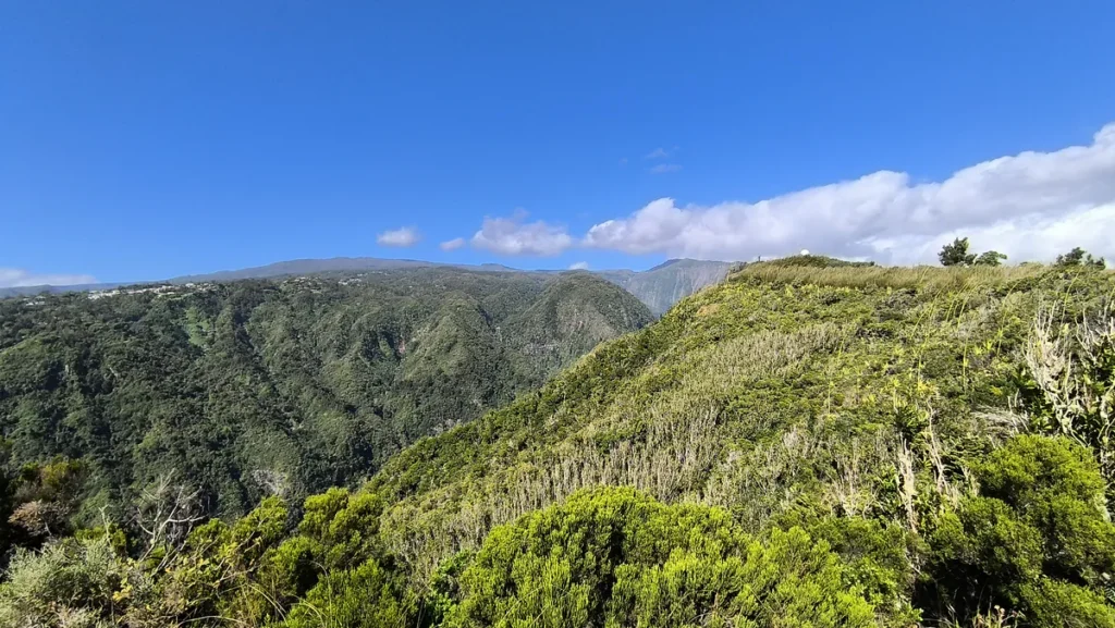 Vue panoramique sur des montagnes couvertes de végétation tropicale dense sous un ciel bleu clair.