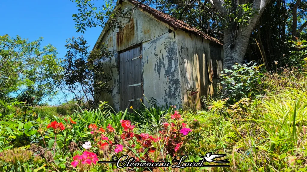 Vue en contre-plongée montrant des fleurs de géranium rouges et roses au premier plan, devant la chapelle rurale historique en tôle à Petite-Île.