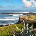 Vue panoramique sur le sentier du littoral balisé par une barrière en bois surplombant l'océan et bordé de grands agaves en fleurs.