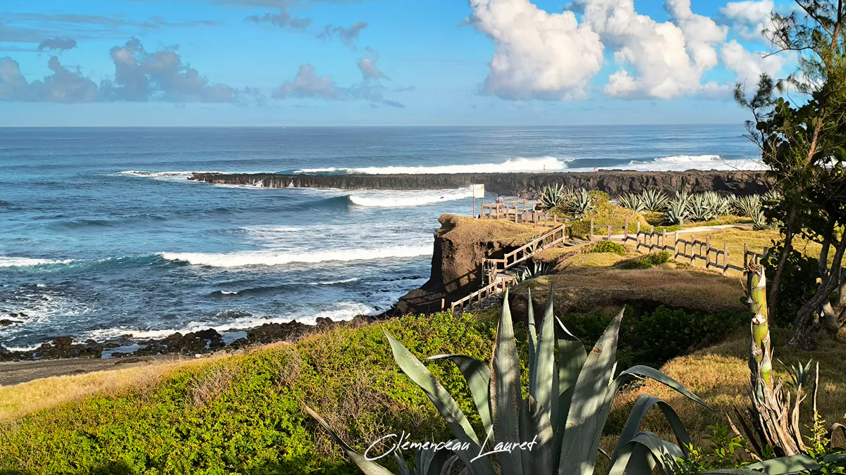 Vue panoramique sur le sentier du littoral balisé par une barrière en bois surplombant l'océan et bordé de grands agaves en fleurs.