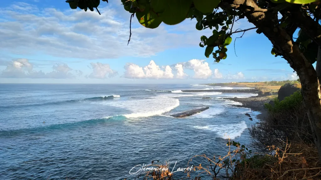 Cadre naturel formé par les branches d'un arbre ouvrant sur une baie marine balayée par des vagues régulières sous un ciel dégagé.