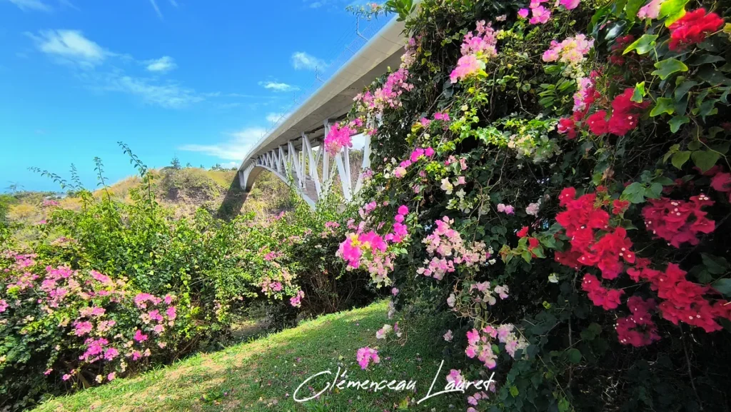 Vue en contre-plongée sur l'arche blanche du pont du Bras de la Plaine, encadrée par des bougainvilliers roses et rouges éclatants sous un ciel bleu dégagé.