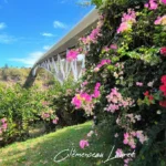 Vue en contre-plongée sur l'arche blanche du pont du Bras de la Plaine, encadrée par des bougainvilliers roses et rouges éclatants sous un ciel bleu dégagé.