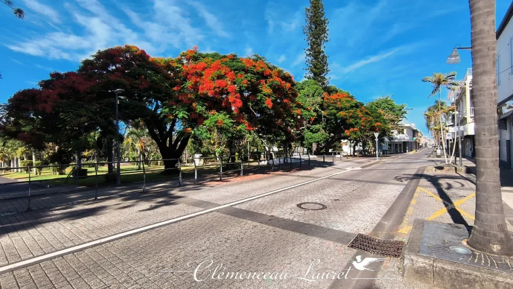 flamboyant-saint-pierre-reunion-rue-des-bons-enfants-ete Texte alternatif (Alt Text) : Large vue en perspective de la rue des Bons Enfants à Saint-Pierre de la Réunion, bordée de grands flamboyants en fleurs rouges sous un ciel bleu avec nuages.