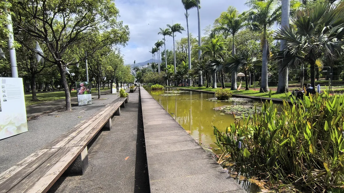 Longue promenade aménagée avec des bancs en bois longeant le bassin sous l'alignement des palmiers du parc.