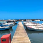Ponton en bois central s'avançant dans le bassin du port entouré de plusieurs bateaux de pêche et de plaisance.