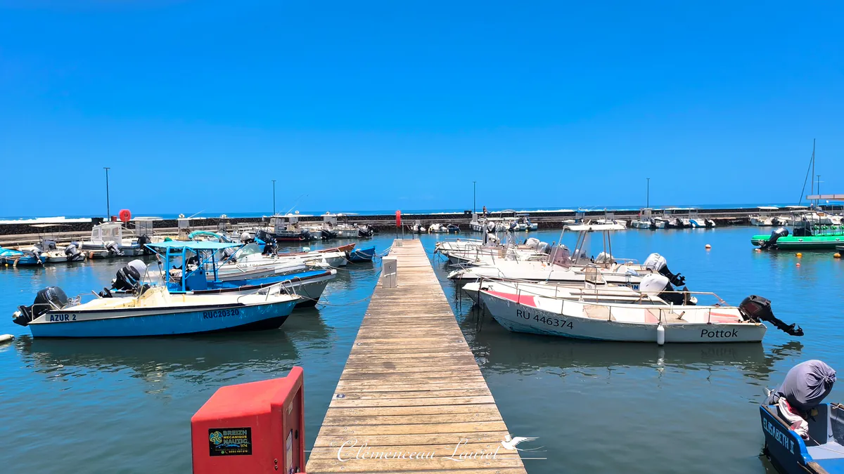 Ponton en bois central s'avançant dans le bassin du port entouré de plusieurs bateaux de pêche et de plaisance.