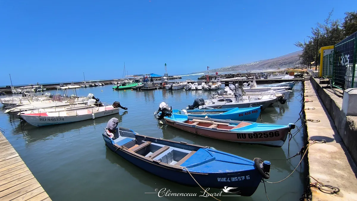 Alignement de petites barques de pêche colorées bleues et roses amarrées le long du quai du port.